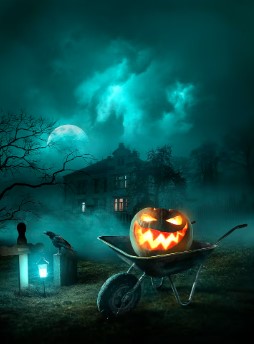 Spooktacular Boat Cruise - Image 4